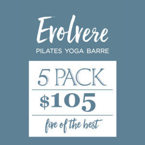 Evolvere Pilates Yoga Barre 5 pack $105 five of the best
